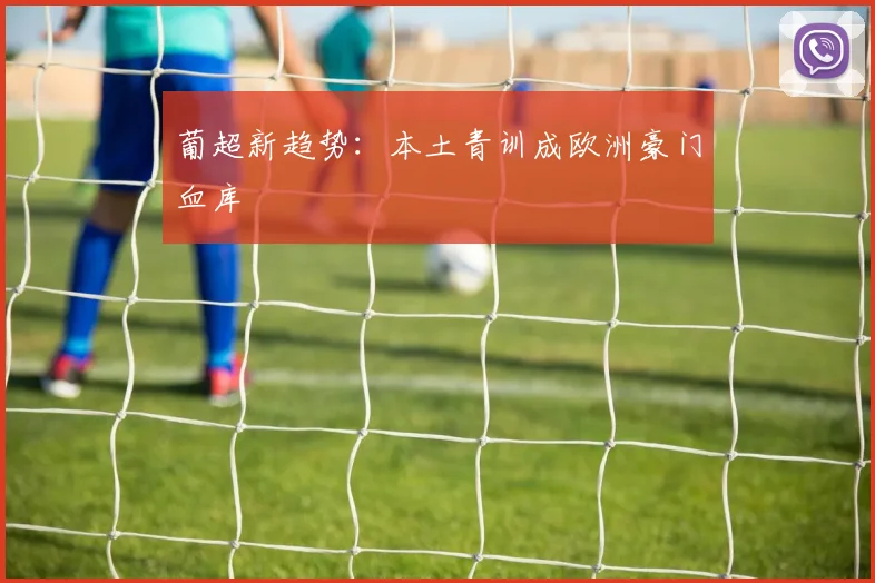葡超新趋势：本土青训成欧洲豪门血库