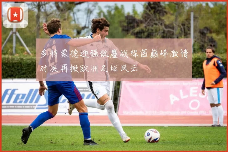 多特蒙德迎强敌鏖战绿茵巅峰激情对决再掀欧洲足坛风云