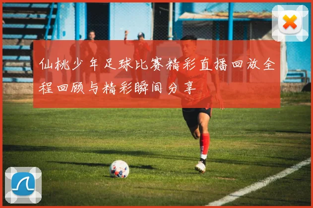 仙桃少年足球比赛精彩直播回放全程回顾与精彩瞬间分享