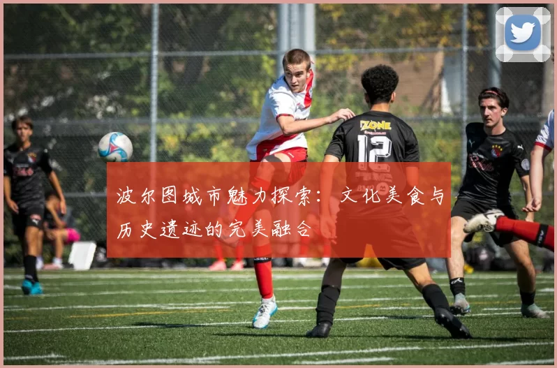 波尔图城市魅力探索：文化美食与历史遗迹的完美融合