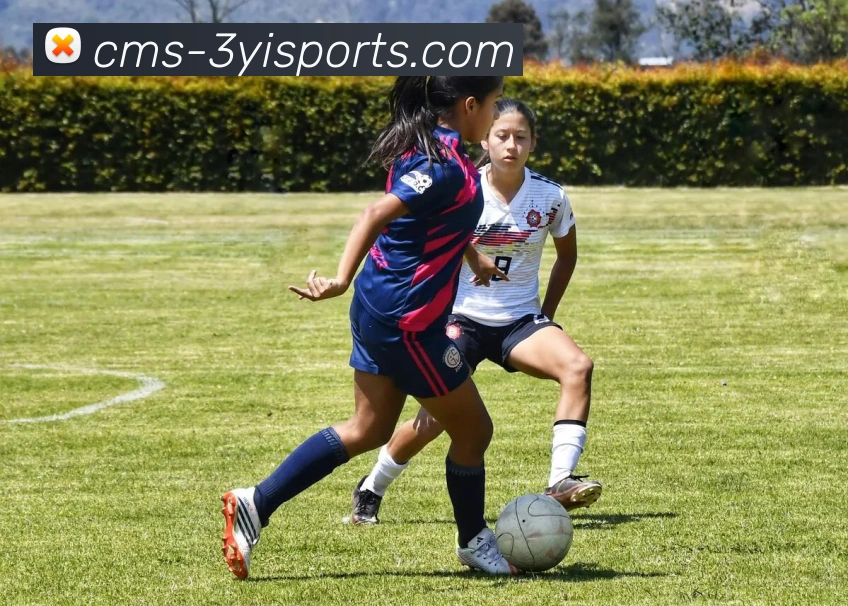 NIP战队与AL队的巅峰对决精彩回顾与分析